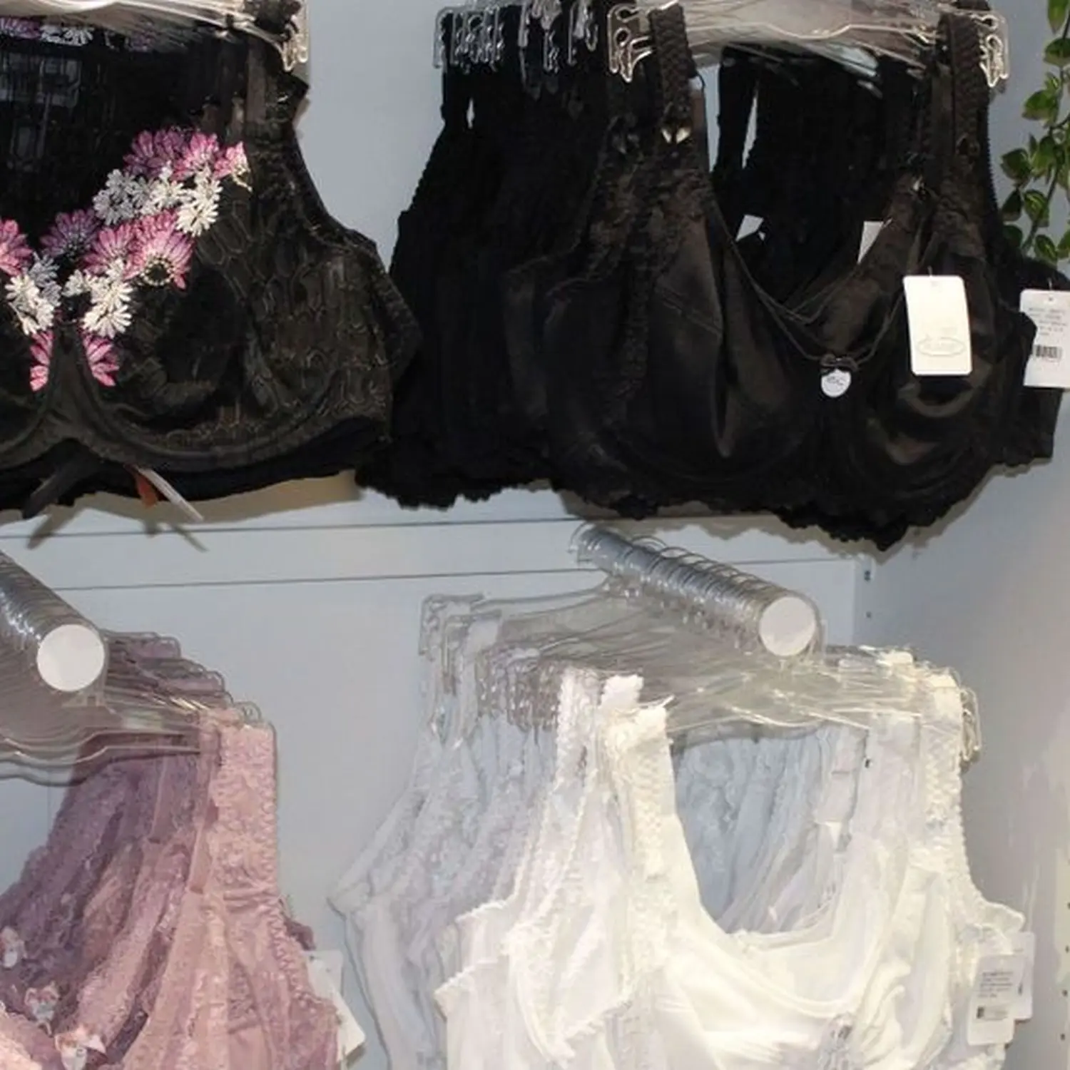Feine Dessous und Wäsche der Marke Anita und Rosa Faia von Nette´s Lädchen